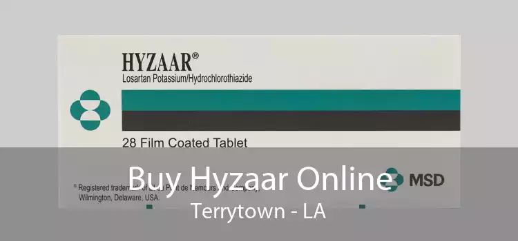 Buy Hyzaar Online Terrytown - LA