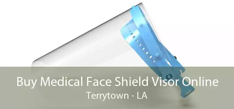 Buy Medical Face Shield Visor Online Terrytown - LA