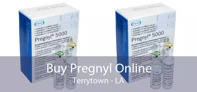 Buy Pregnyl Online Terrytown - LA